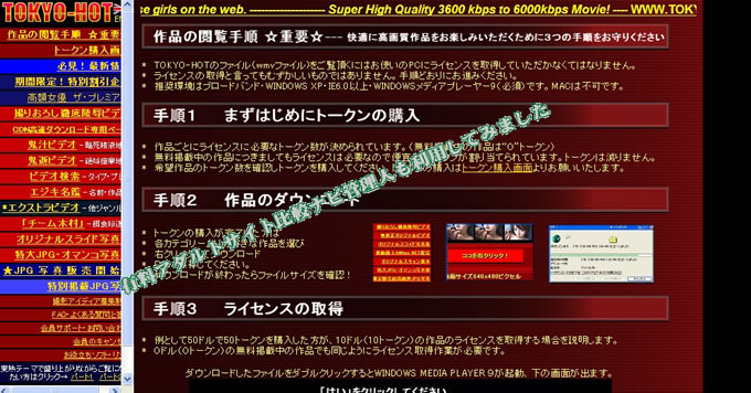 TOKYO-HOT(�����M)