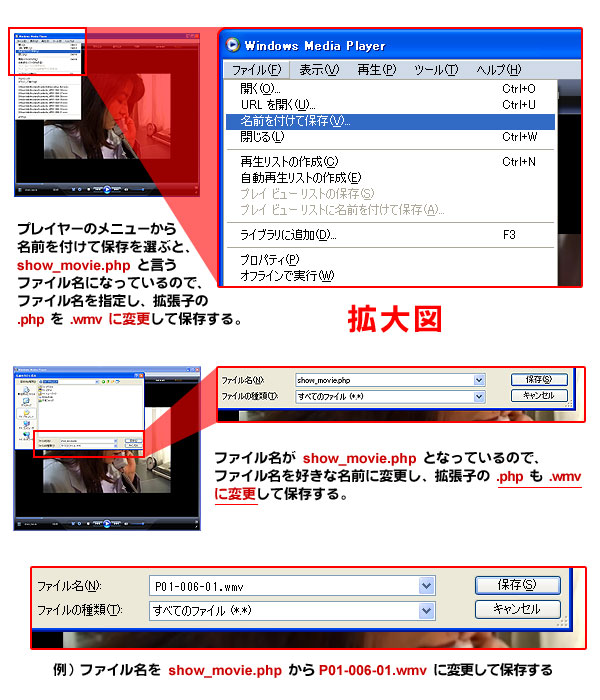 JP���[�r�[�Y�̓���_�E�����[�h���@