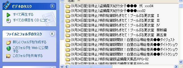 �̑�Ȃ铐�B�t�����q�ŃQ�b�g�������󃂃m�̓��B����