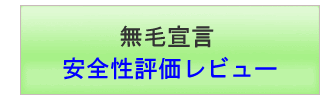 ���ѐ錾�y���S���]�����r���[�z
